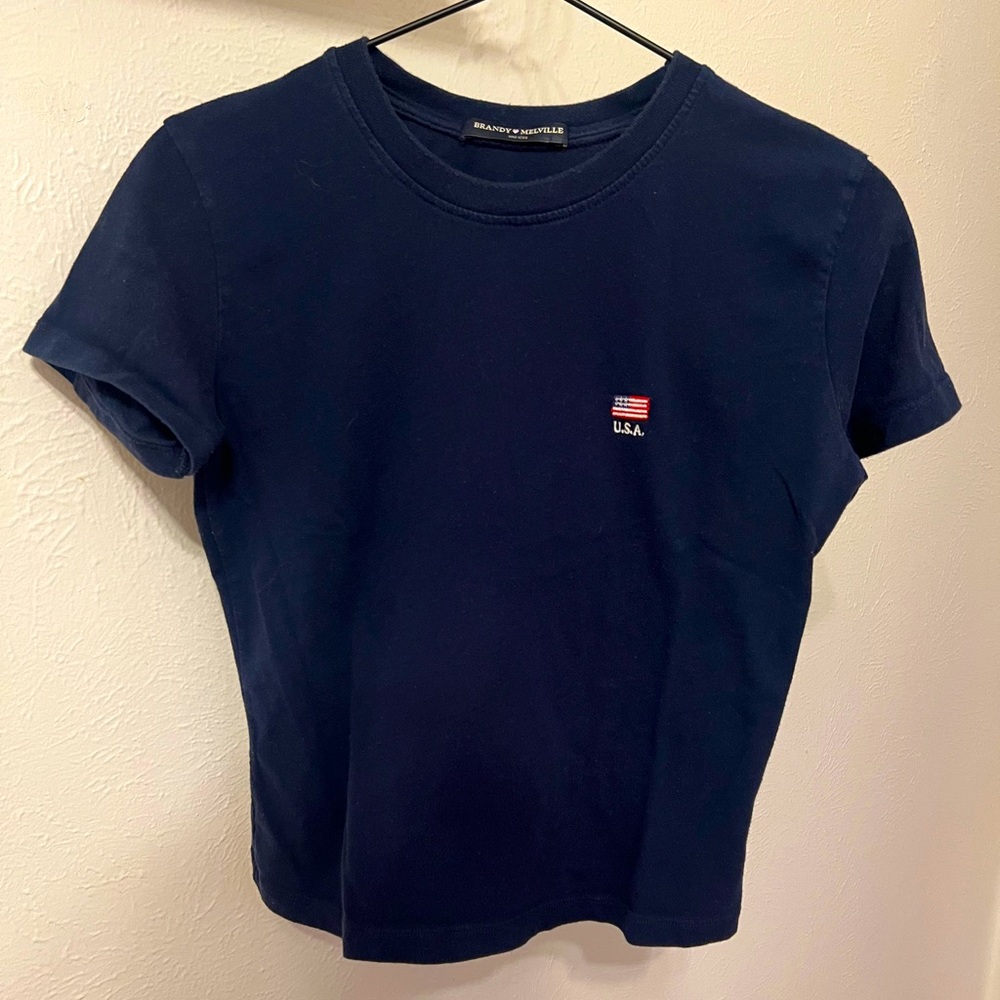 Brandy Melville USA Cropped T Shirt